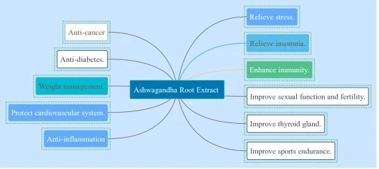 ashwagandha benefit