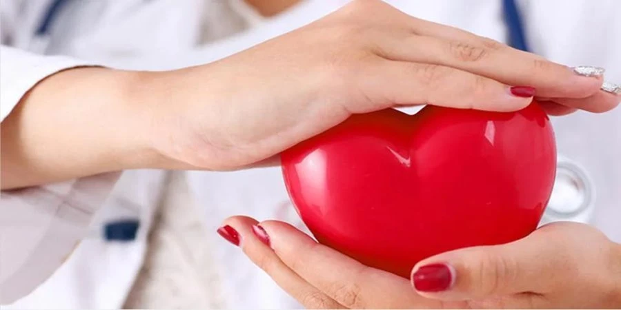 Best L Carnitine Powder6
