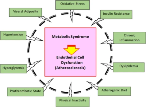 Metabolic syndrome